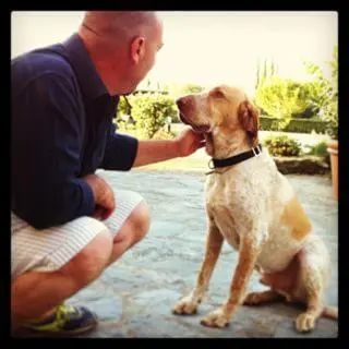 Ospiti di Agriturismo Villani Poderi Nesti & Cupoli con animali domestici