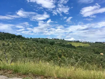 Paesaggio naturale nelle vicinanze dell'appartamento