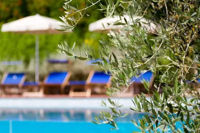 Piscina di Agriturismo Borgo dei Ricci o nelle vicinanze