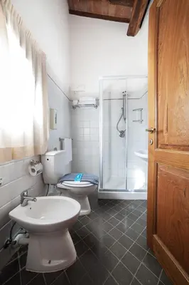 Bagno di Agriturismo La Presura