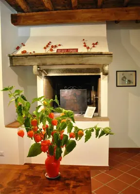 Planimetria di CASA AL MIGLIO