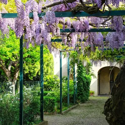 Giardino di Casa Santo Nome di Gesu