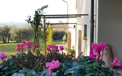 Giardino di Podere agli Arrighi