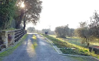 Paesaggio naturale nelle vicinanze dell'appartamento