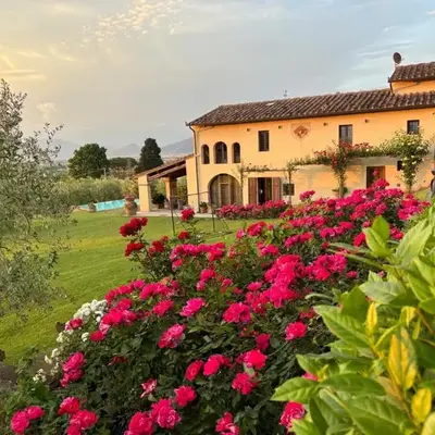Podere agli Arrighi