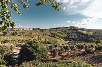 Paesaggio naturale nelle vicinanze del resort