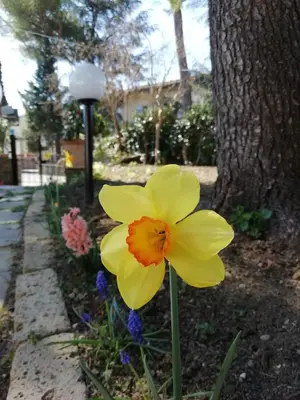 Giardino di B&B Querceto