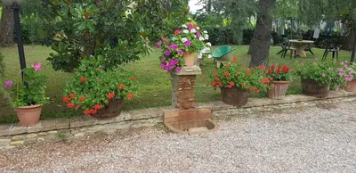 Giardino di Casavacanze I PINI