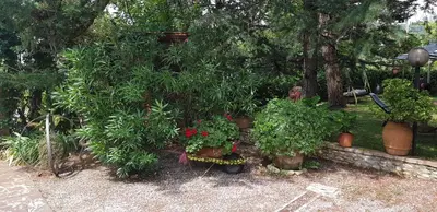 Giardino di Casavacanze I PINI