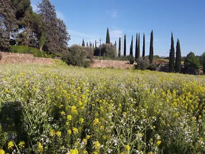 Paesaggio naturale nelle vicinanze dell'appartamento