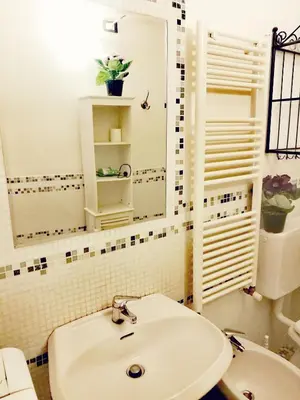 Bagno di 1 pitti apartment