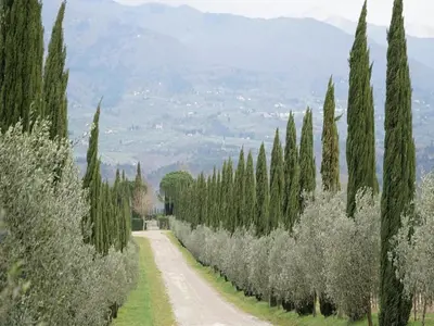 Paesaggio naturale nelle vicinanze della casa vacanze