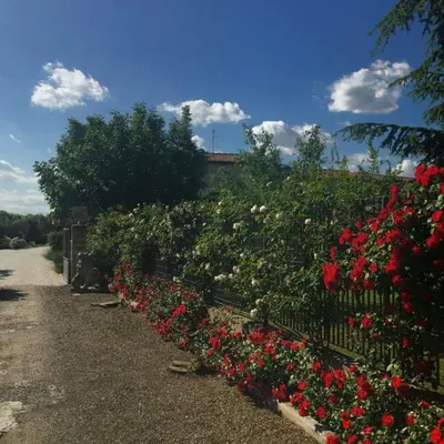 Giardino di Tenuta La Rosa B&B