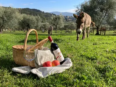 Altri animali domestici presso the country house o nei dintorni