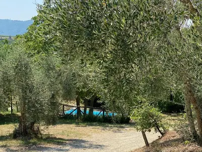 Paesaggio naturale nelle vicinanze della casa vacanze