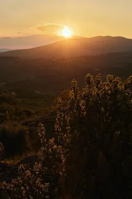 Paesaggio naturale nelle vicinanze dell'agriturismo