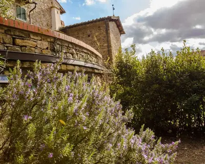 Giardino di Agriturismo Fattoria Poggio di Fiesole