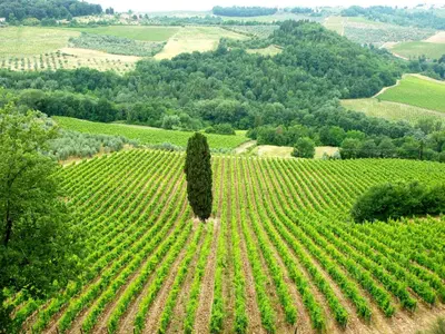 Paesaggio naturale nelle vicinanze della casa vacanze