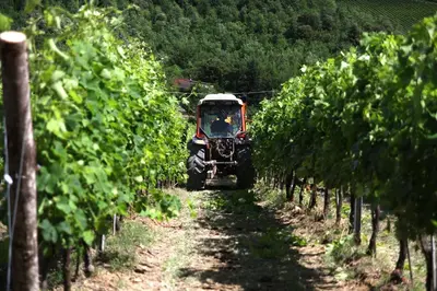 Planimetria di Podere Vignola