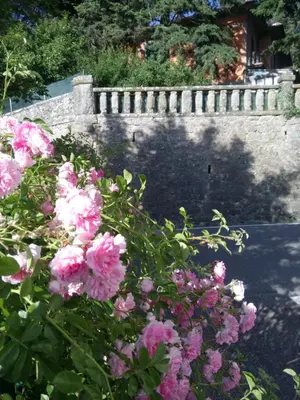 Giardino di Casa Bartolacci Charme in Bivigliano (Near Mugello and Florence)