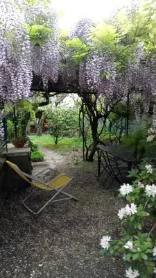 Giardino di Casa Bartolacci Charme in Bivigliano (Near Mugello and Florence)
