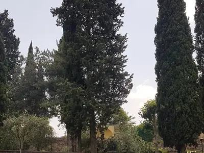 Paesaggio naturale nelle vicinanze dell'affittacamere