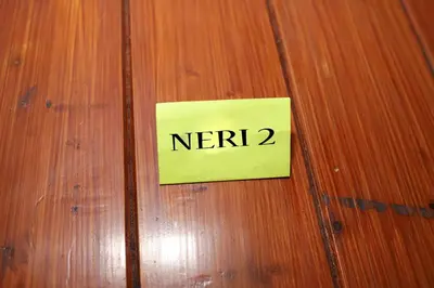 Planimetria di Nerii 2