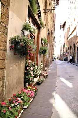 Il quartiere o una zona nella vicinanze dell'appartamento
