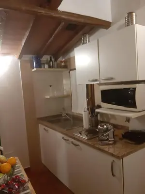 Cucina o angolo cottura di Porcellana Twenty-Six Florence Wi-Fi Apartment