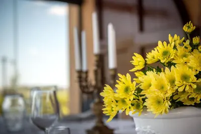 Planimetria di Agriturismo Casale Ugolini