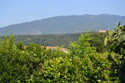 Paesaggio naturale nelle vicinanze dell'agriturismo