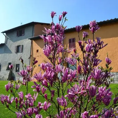 Agriturismo La Querce