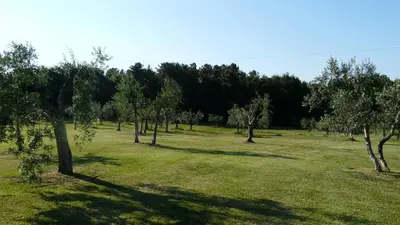 Giardino di Villa Pian De Noci - Tenuta del Palagio
