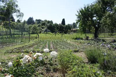 Giardino di Case Coloniche Berni