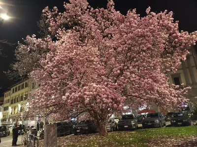 Planimetria di Il Nido delle Rondini