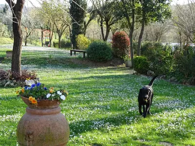 Giardino di Agriturismo Conca Verde