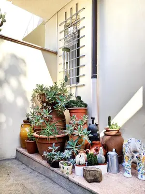 Giardino di Casa del Gelsomino e del Nespolo