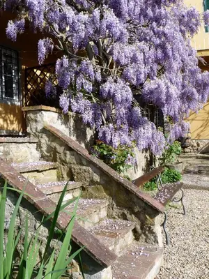 Giardino di Il Casalone