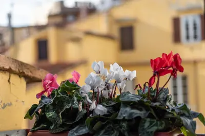 Planimetria di Santa Trinita - Flo Apartments