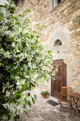 Planimetria di Little Room - Camera indipendente nella Torre