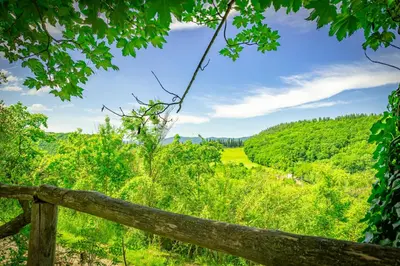 Paesaggio naturale nelle vicinanze of country house