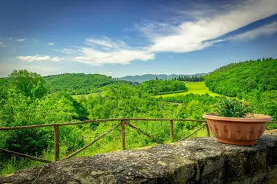 Paesaggio naturale nelle vicinanze of country house