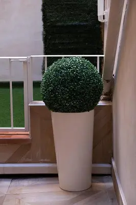 Planimetria di PROVENZALE CASA