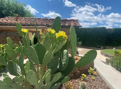 Giardino di Appartamento in Villa con Piscina - Mhateria Relais