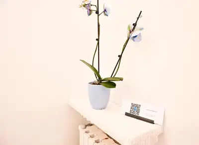 Planimetria di La casa di Mariasole