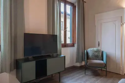 TV o dispositivi per l'intrattenimento presso Elegant Green Apartment In San Gallo Firenze