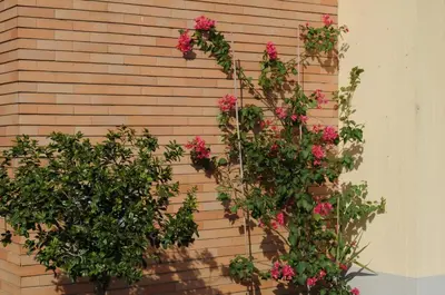 Giardino di Marinetta Bed & Breakfast