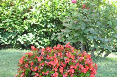 Giardino di Marinetta Bed & Breakfast