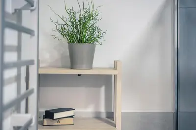Biblioteca nell'appartamento