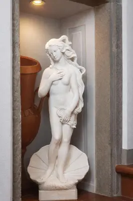 Planimetria di Aleri